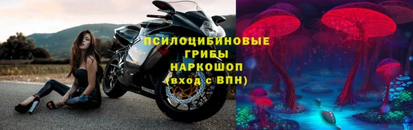 дживик Корсаков