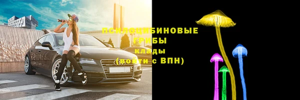 дживик Корсаков