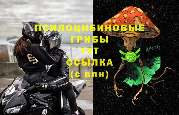 дживик Корсаков
