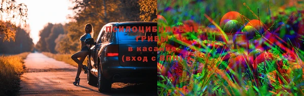 бошки Костерёво